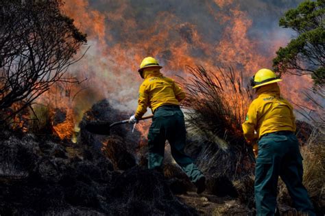 Incendio forestal en el sur de Nueva Jersey se extiende a más de 1.000 hectáreas en cuestión de horas y provoca evacuaciones